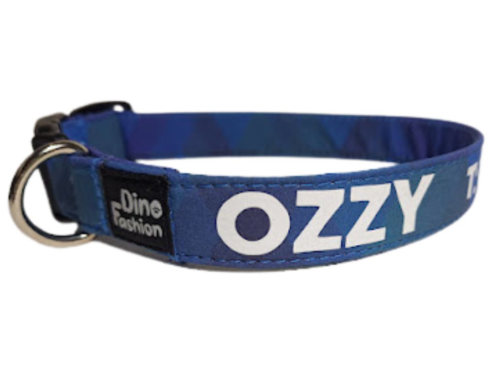 Návrh bez názvu - 2025-11-21T192828.283